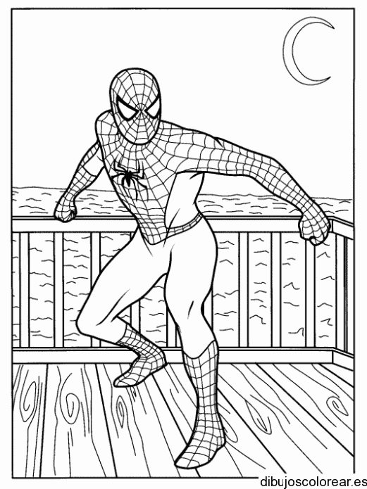 Dibujo de Spiderman bajo la luna para colorear