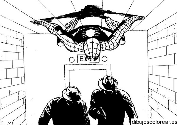 Dibujo de Spiderman en la pared para colorear
