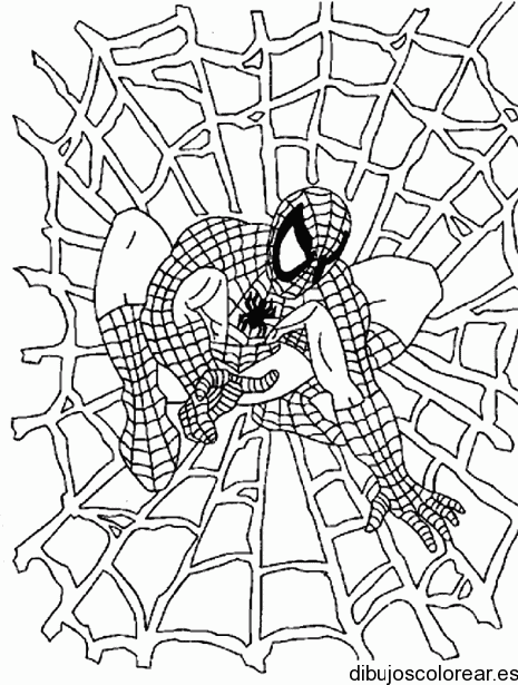 Dibujo de Spiderman y una telaraña para colorear