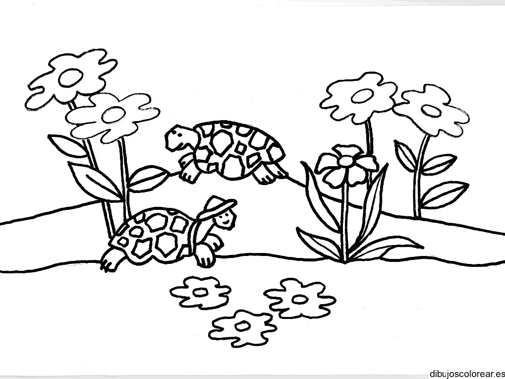 Dibujo de tortugas entre las flores para colorear