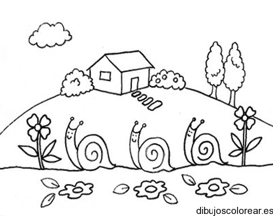 Dibujo de tres caracoles para colorear