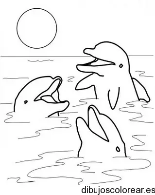 Dibujo de tres delfines jugando para colorear