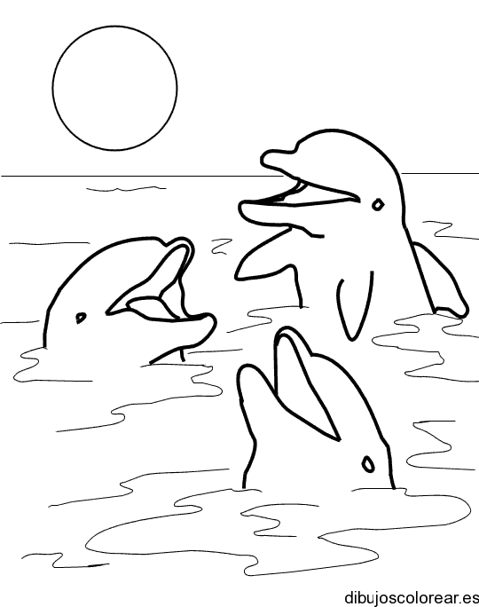 Dibujo de tres delfínes jugando para colorear