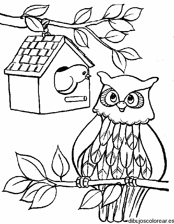 Dibujo de un búho y un pájaro para colorear