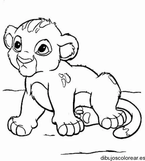Dibujo de un cachorro de león para colorear