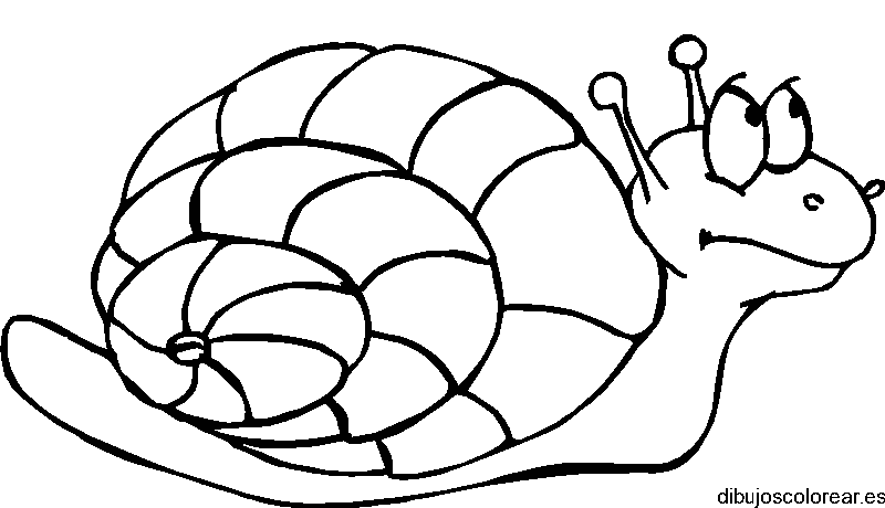 Dibujo de un caracol asustado para colorear