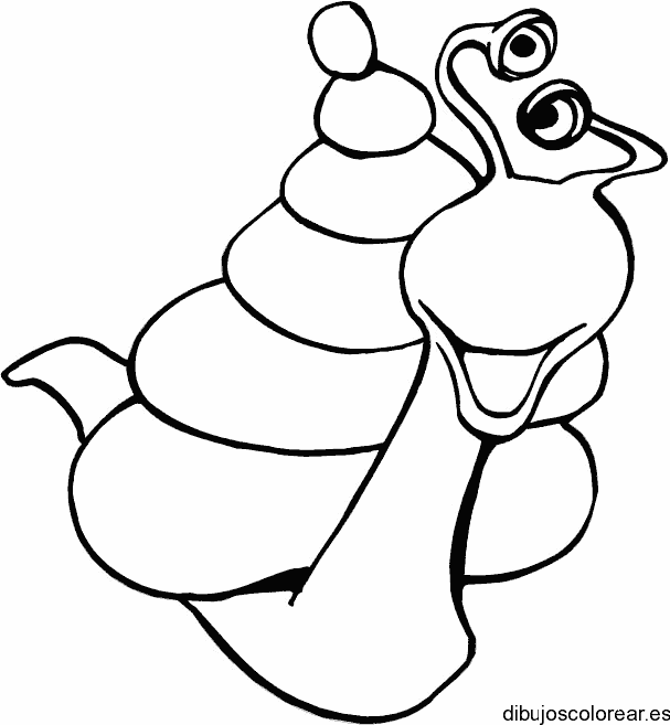 Dibujo de un caracol con ojos en antenas para colorear