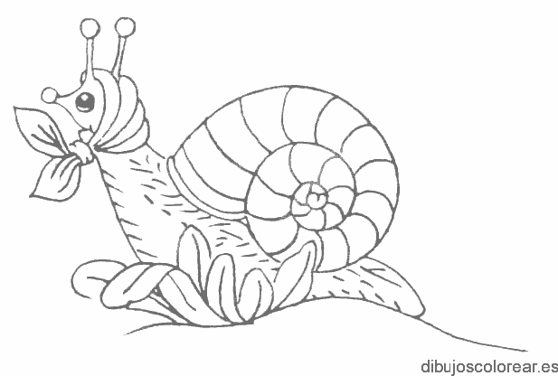 Dibujo de un caracol con pañuelo para colorear