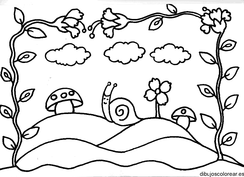 Dibujo de un caracol debajo de enredadera para colorear