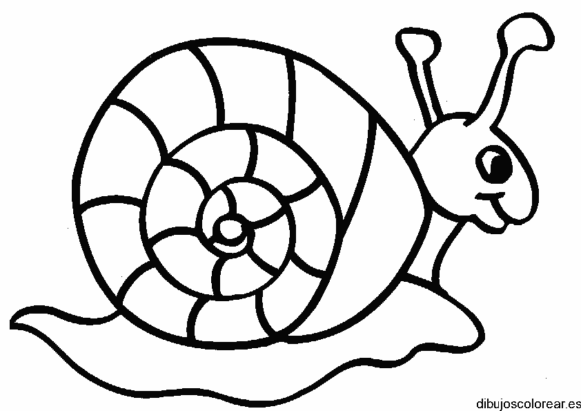 Dibujo de un caracol en un camino para colorear
