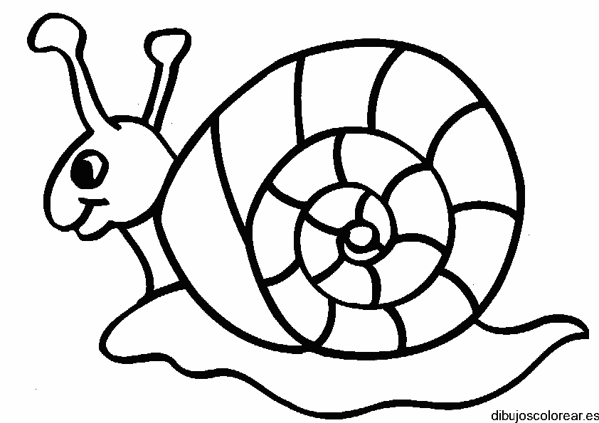 Dibujo de un caracol sonriendo para colorear