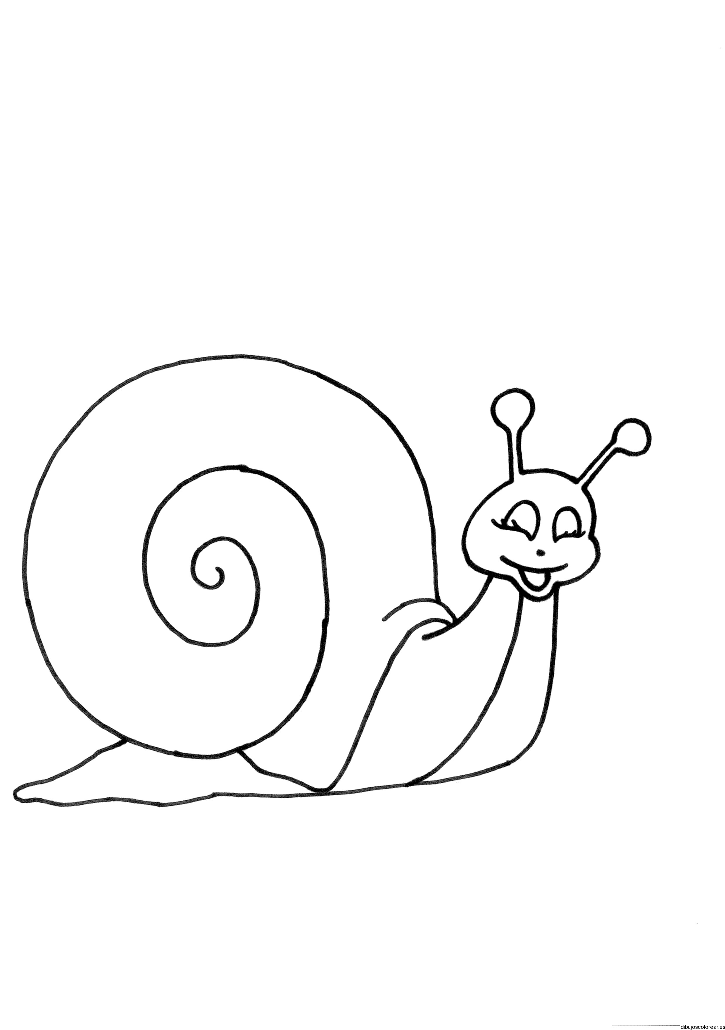 Dibujo de un caracol sonriendo para colorear