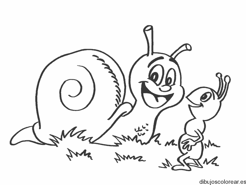 Dibujo de un caracol y una hormiga sonriendo para colorear