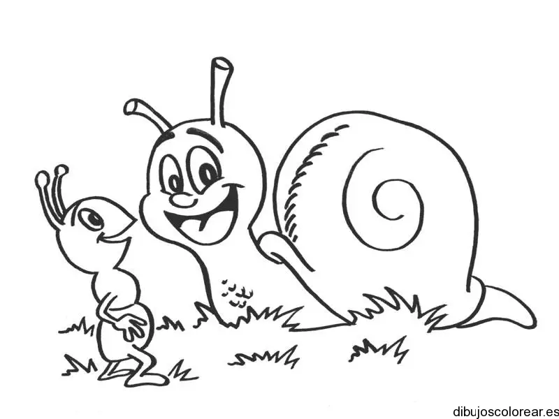 Dibujo de un caracol y una hormiga para colorear