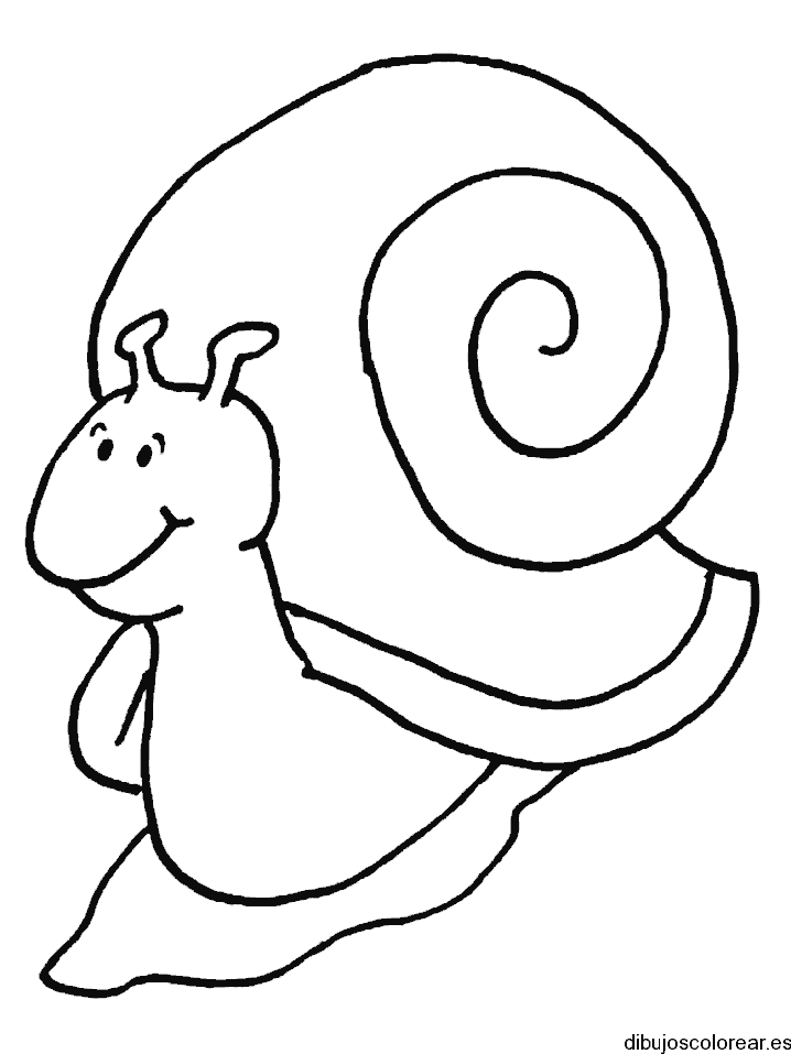 Dibujo de un caracolito para colorear