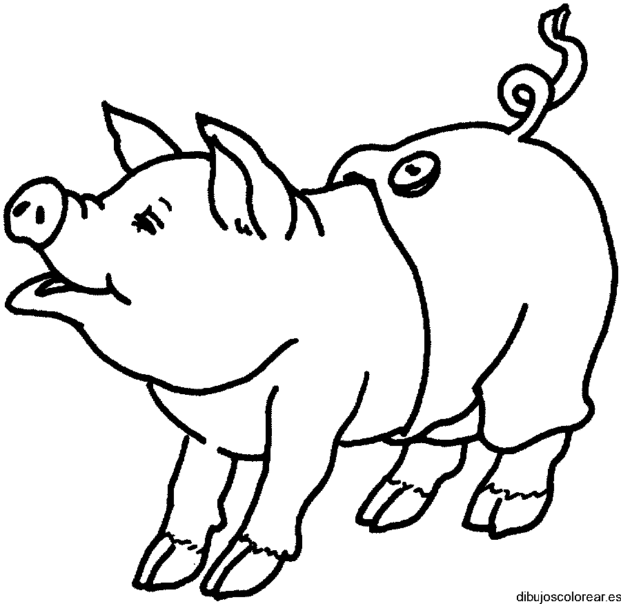 Dibujo de un cerdito con pantalones para colorear