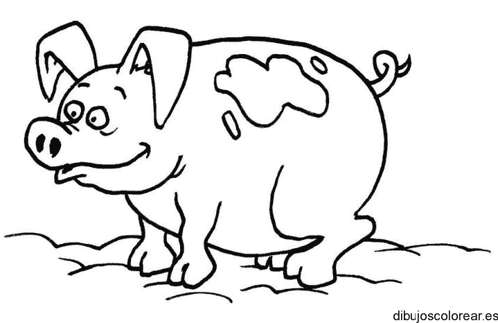 Dibujo de un cerdito para colorear