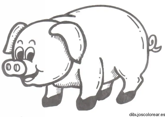 Dibujo de un cerdo sonriendo para colorear