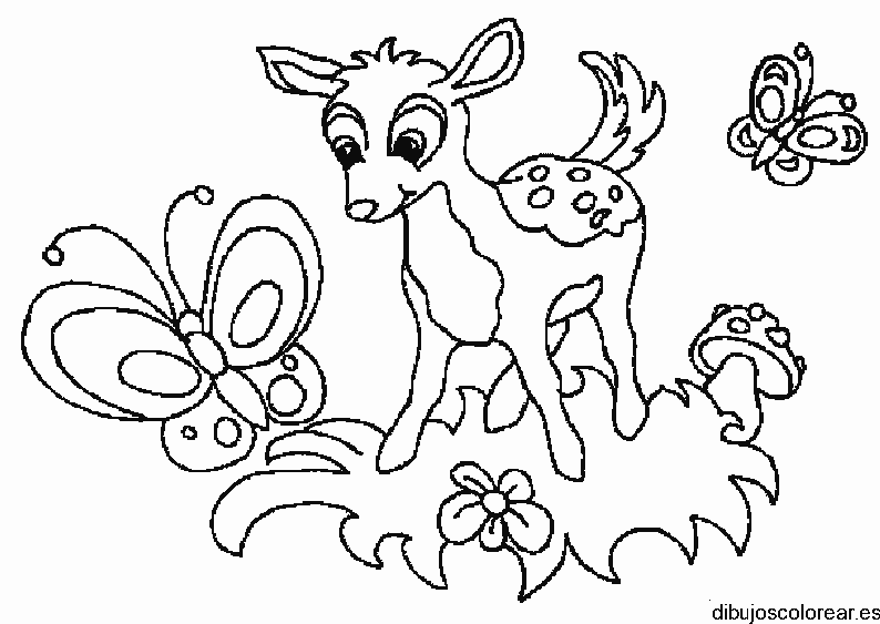 Dibujo de un cervatillo y una mariposa para colorear