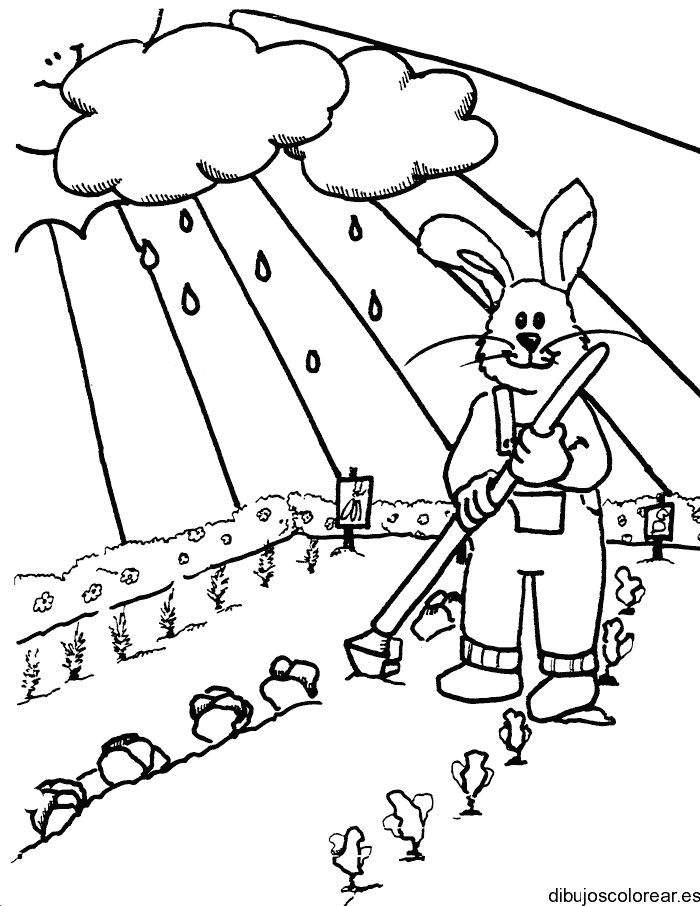 Dibujo de un conejo en la granja para colorear