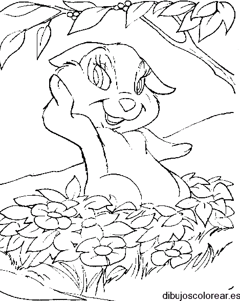 Dibujo de un conejo sonriendo para colorear