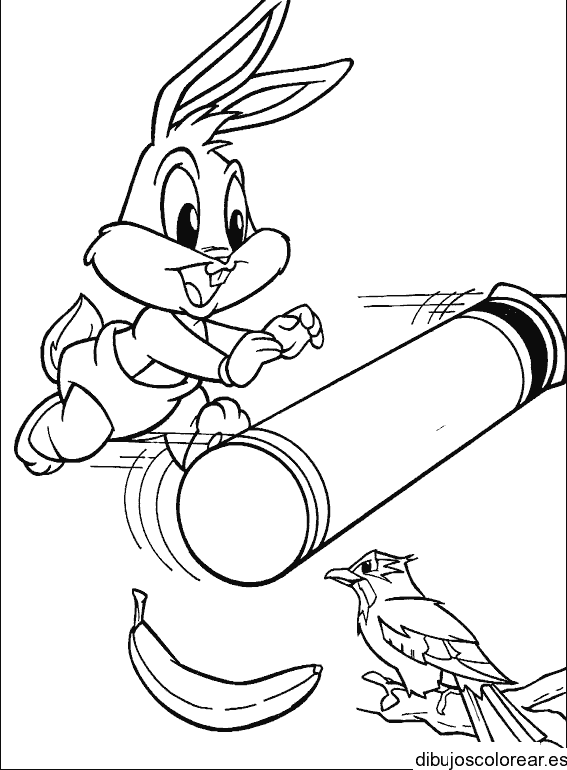 Dibujo de un conejo y un pájaro para colorear