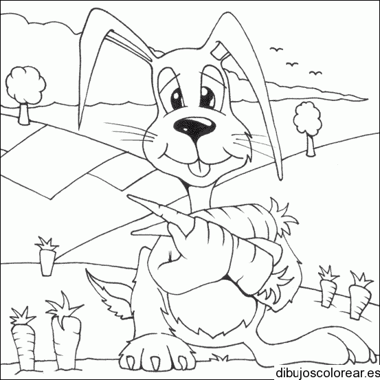 Dibujo de un conejo y una zanahoria en la granja para colorear