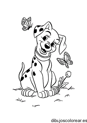 Dibujo de un dálmata y una mariposa para colorear