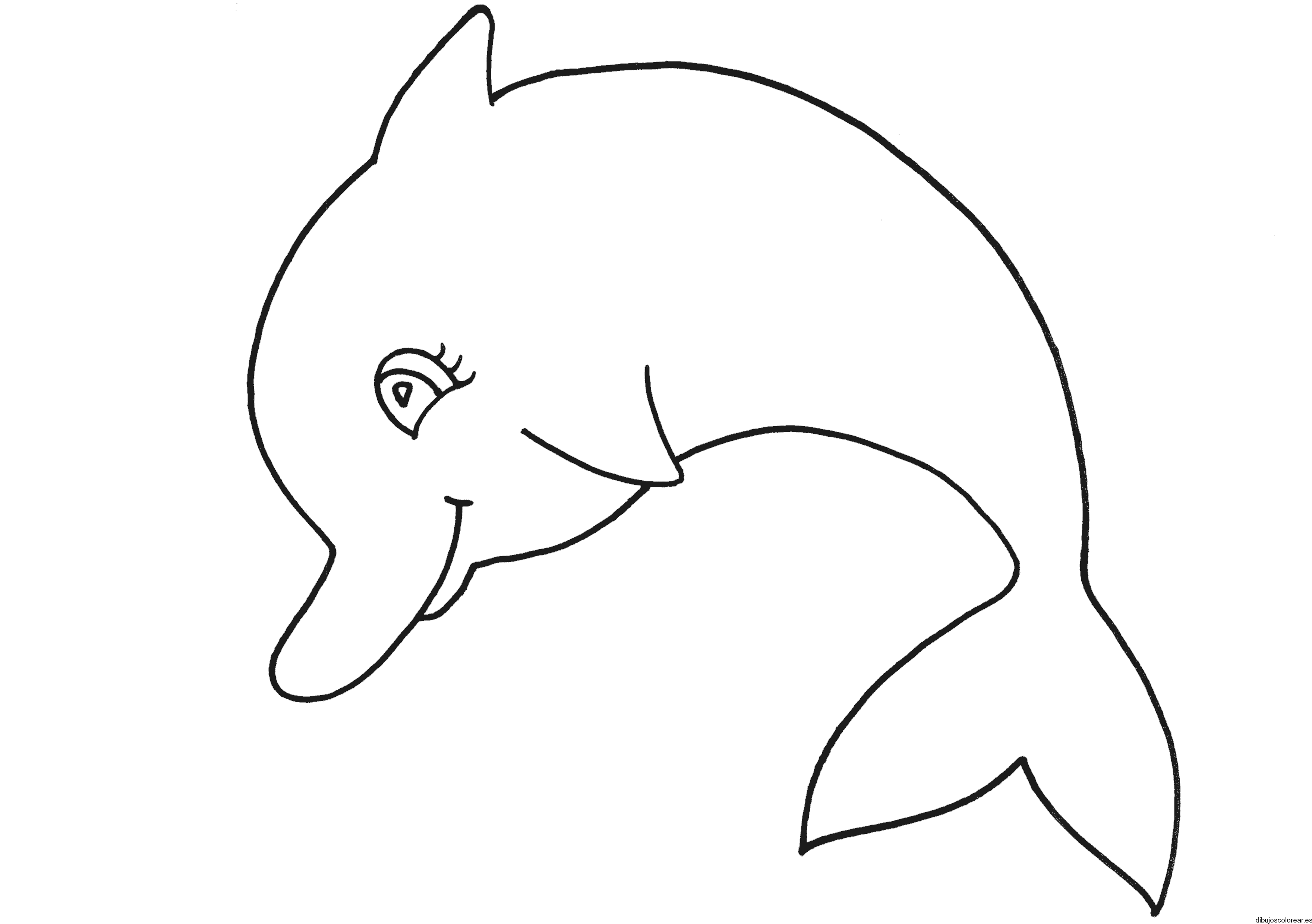Dibujo de un delfín para colorear