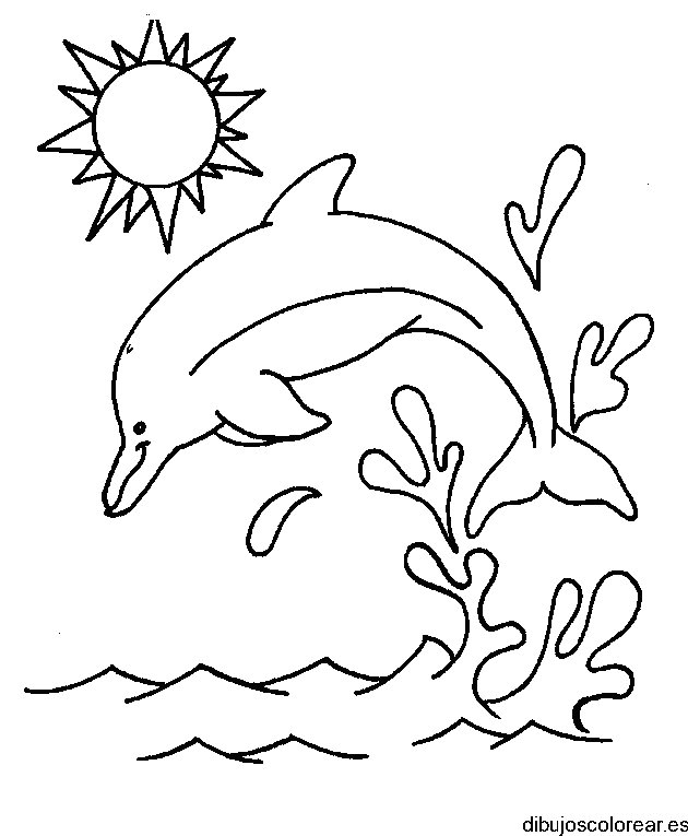 Dibujo de un delfín bajo el sol para colorear