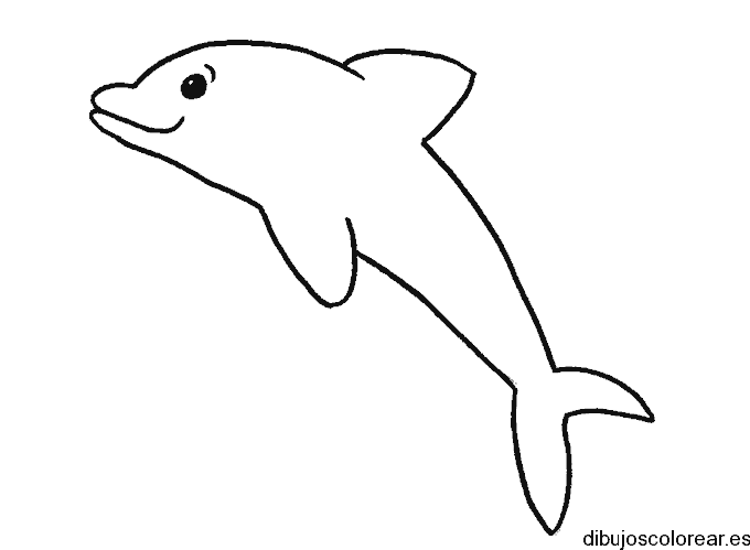 Dibujo de un delfín en el aire para colorear