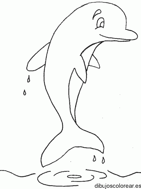 Dibujo de un delfín saliendo del mar para colorear