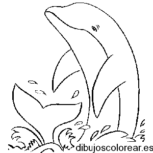 Dibujo de un delfín saltando en el agua para colorear