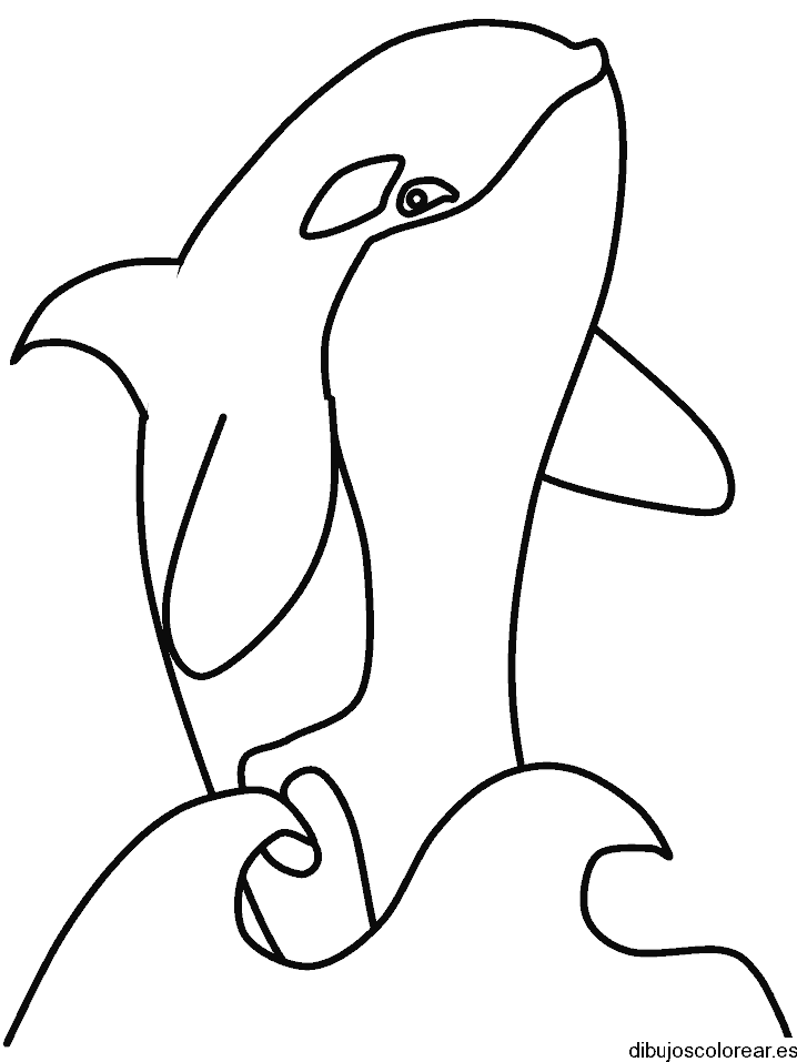 Dibujo de un delfín saltando una ola para colorear