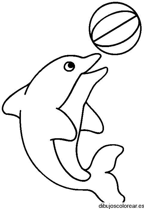 Dibujo de un delfín para colorear