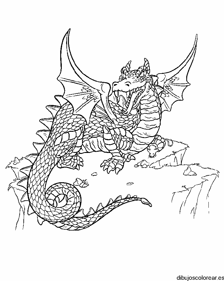 Dibujo de un dragón de Harry Potter para colorear