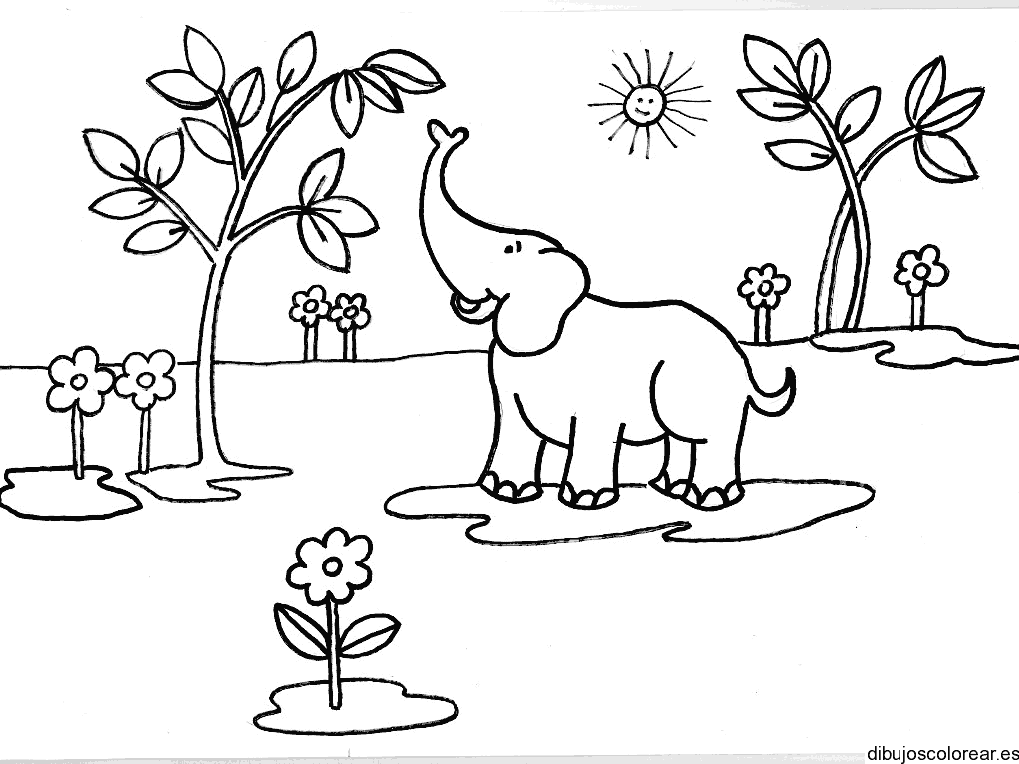Dibujo de un elefante comiendo hojas para colorear