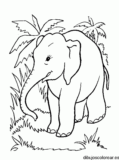 Dibujo de un elefante con palmeras para colorear