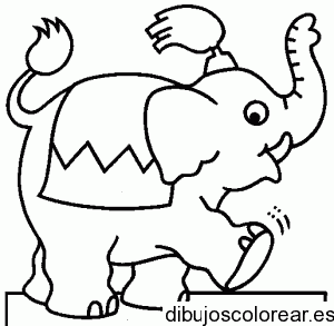 Dibujo de un elefante de circo para colorear