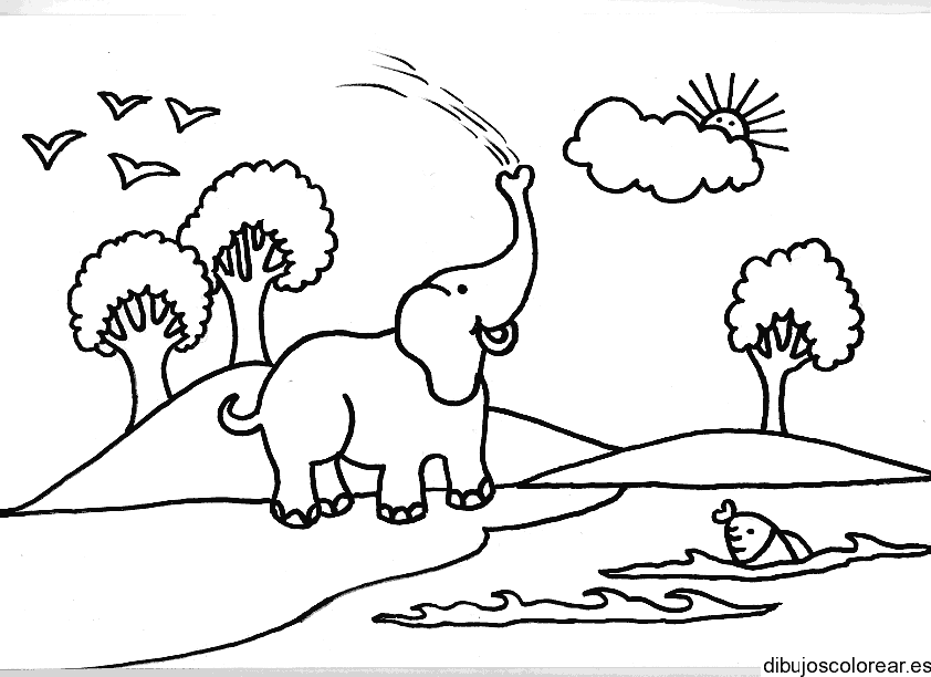 Dibujo de un elefante jugando con agua para colorear