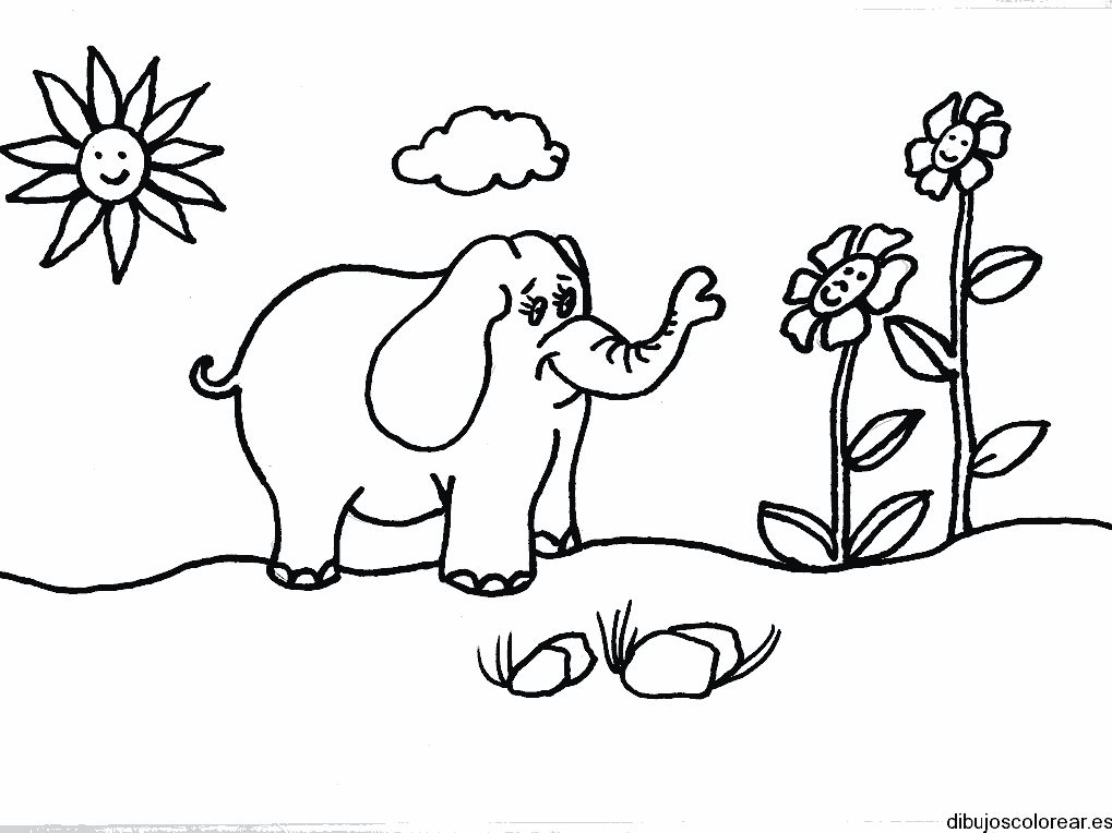 Dibujo de un elefante observando las flores para colorear