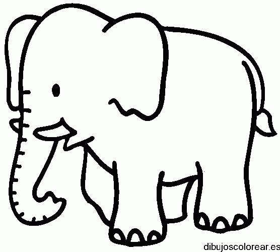 Dibujo de un elefante pequeño para colorear