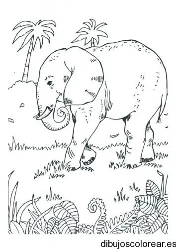Dibujo de un elefante y dos palmera para colorear
