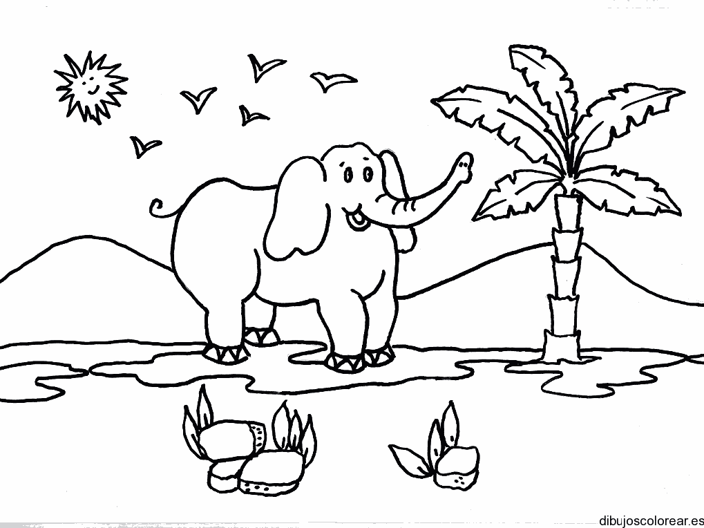 Dibujo de un elefante y una palmera para colorear