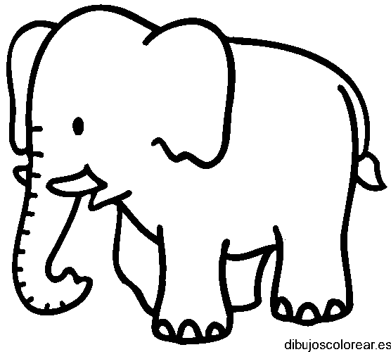 Dibujo de un elefantito regañado para colorear