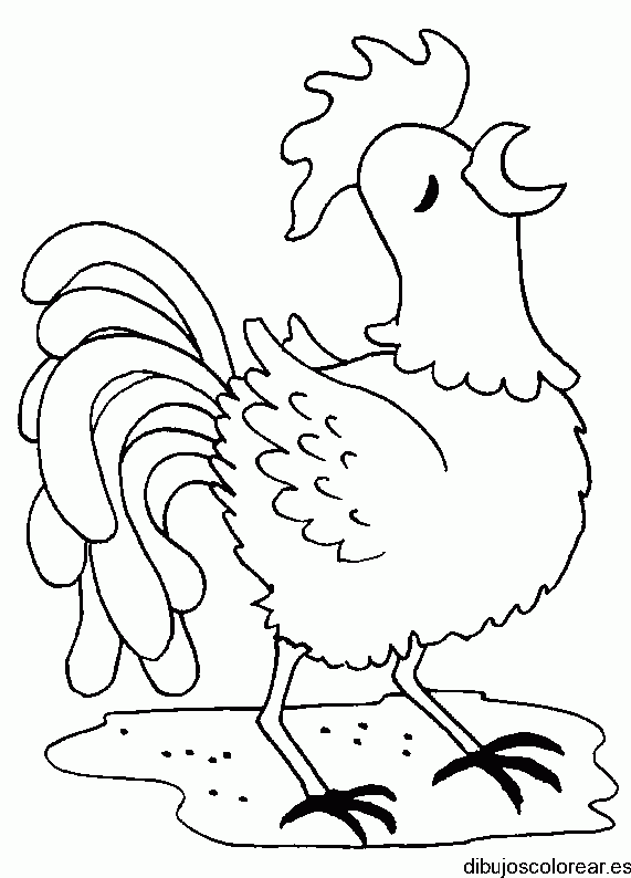 Dibujo de un gallo cantando para colorear