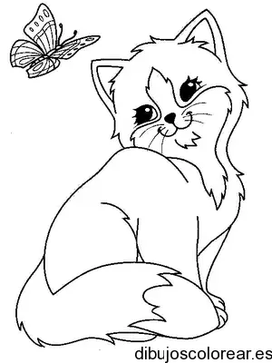 Dibujo de un gatito con una mariposa para colorear