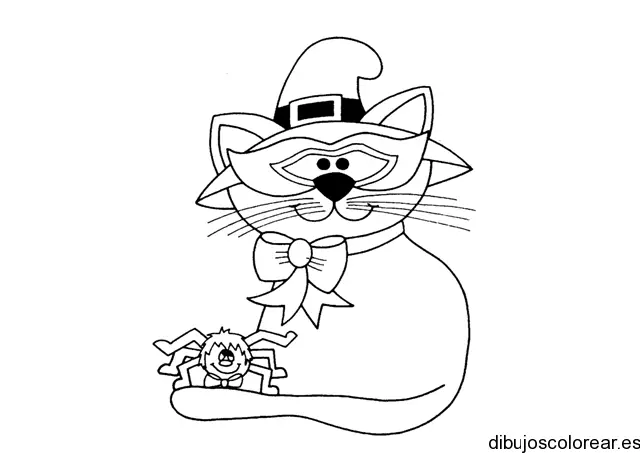 Dibujo de un gato y una araña para colorear
