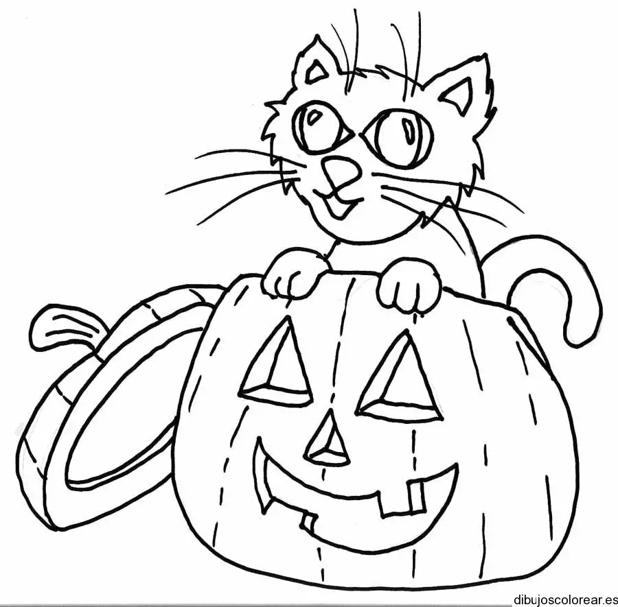 Dibujo de un gato y una calabaza para colorear