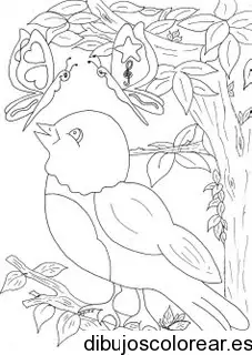 Dibujo de un gorrión y mariposas para colorear